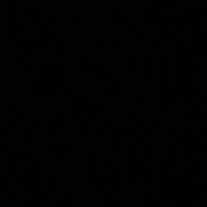 Meet your Posher, Sasha